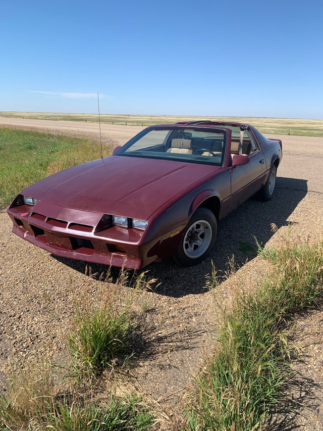 1984 Camaro Classic Cars Medicine Hat Kijiji
