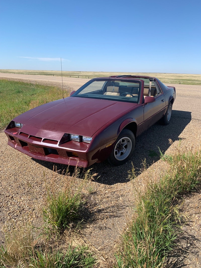 1984 Camaro Classic Cars Medicine Hat Kijiji
