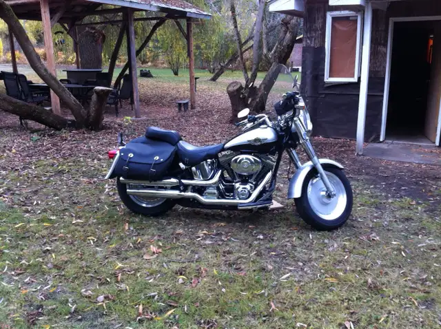 2003 HD Fatboy (100 year anniversary edition) in Street, Cruisers & Choppers in Vernon - Image 6