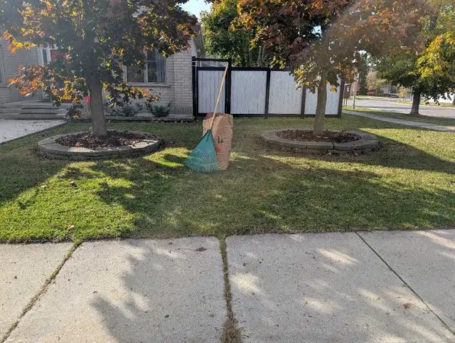 Leaf racking/leaf removal64313483955971121