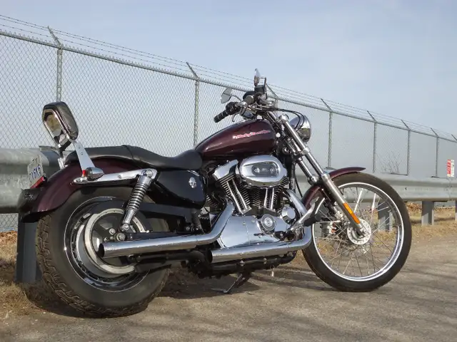 ['07 36K] 1200 SPORTSTER in Street, Cruisers & Choppers in St. Catharines - Image 3