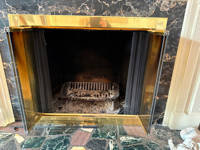 Elegant Fireplace Doors in Fireplace & Firewood in Hamilton - Image 2