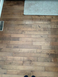 Flatlander 3/4 x 3.5” Solid Hardwood Flooring