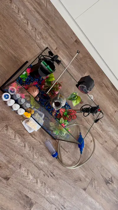 Aquarium + accessoires , View more