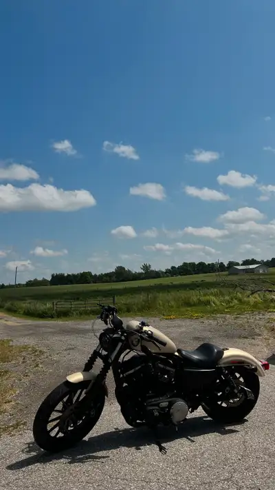 2015 Harley-Davidson Sportster Iron 883–this bike is in good condition and ready for your next adven...