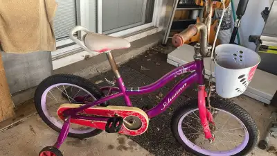 Schwinn Purple Kids Bicycle with Front Basket, View more