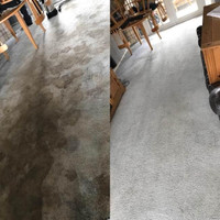 Carpet And Sofa Cleaning