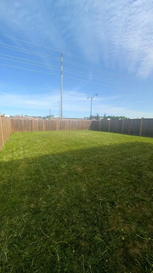 Lawn Care in Lawnmowers & Leaf Blowers in Kitchener / Waterloo - Image 3