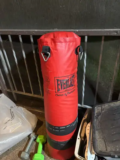punching bag, View more