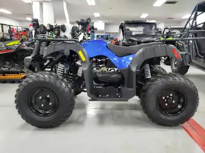 150cc, four-stroke, single-cylinder, air cooled 10.1hp, automatic transmission with reverse 80km/hr...