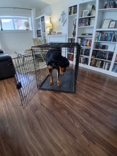 Large foldable dog crate with removable tray for easy cleanups. Also comes with adjustable divider t...