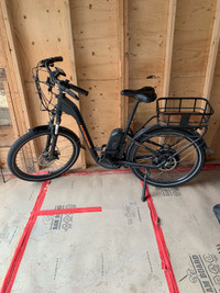 Electric Bike 