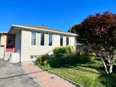 One furnished bed room in basement available now for rent near Scarborough General Hospital, walking...