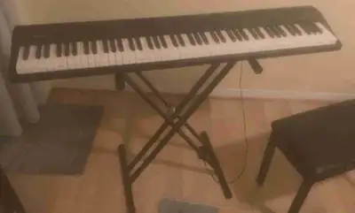 Roland Go Piano:88 With stand and bench!, View more