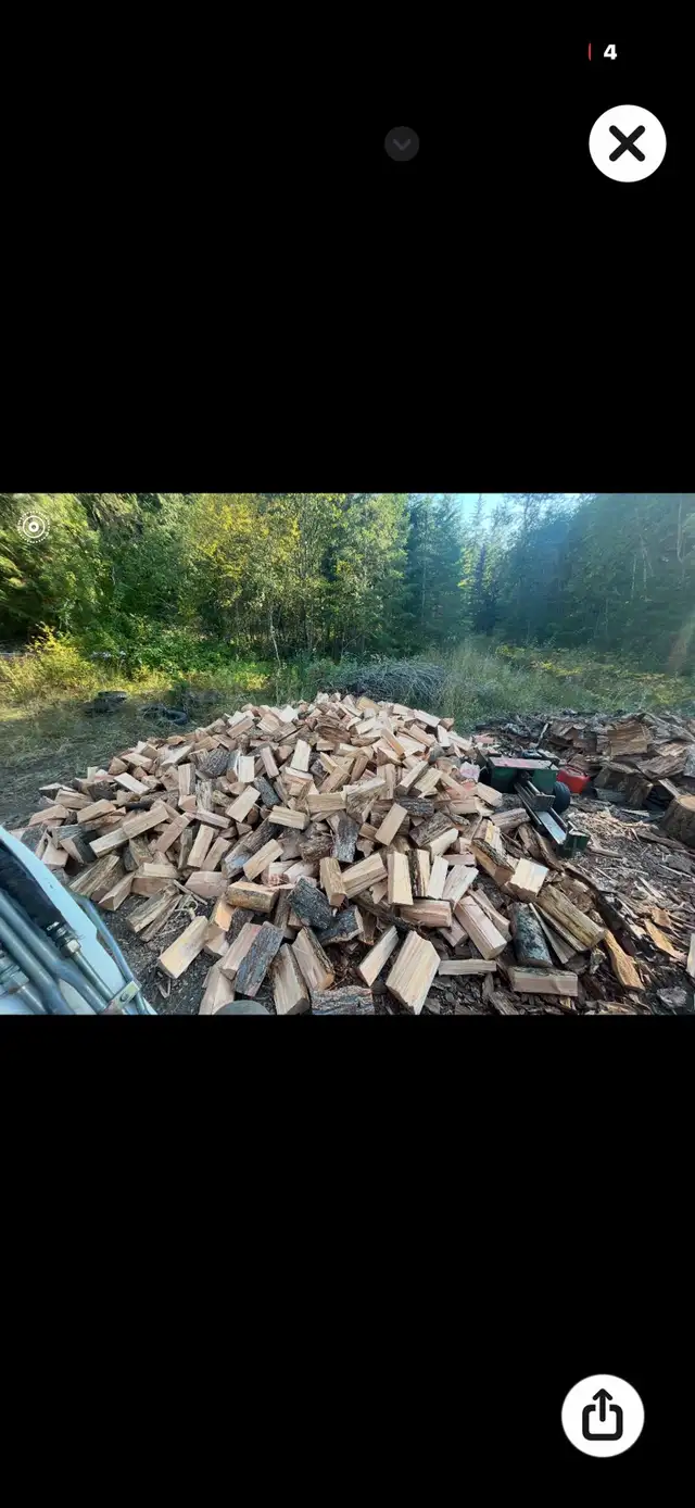 firewood 64230803406593121