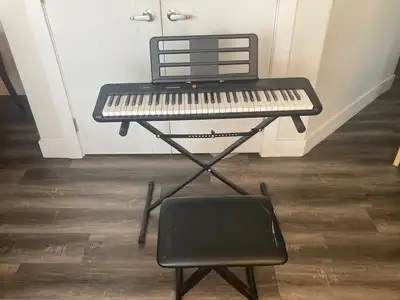 Casio Casiotone CT-S195, View more