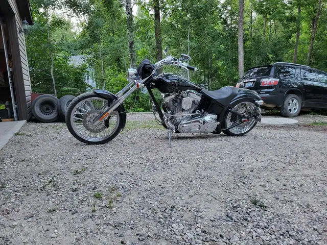 2008 Harley Davidson Springer CVO 110 in Street, Cruisers & Choppers in Winnipeg - Image 11