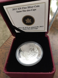 2013 AY Jackson $20 Silver coin