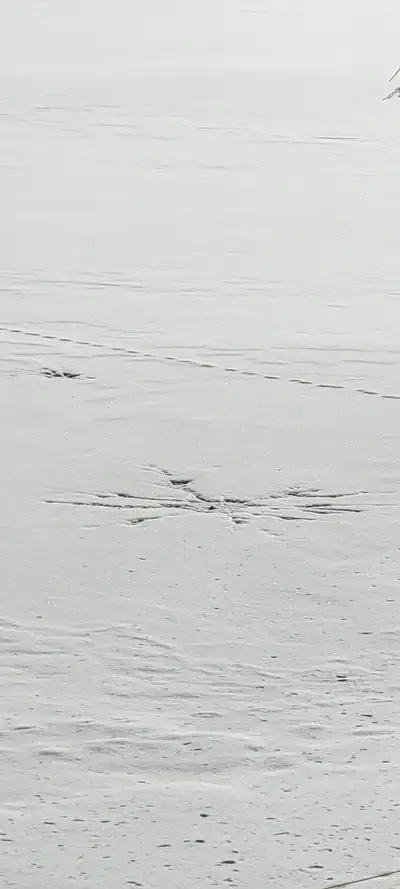 Roof Shoveling, View more