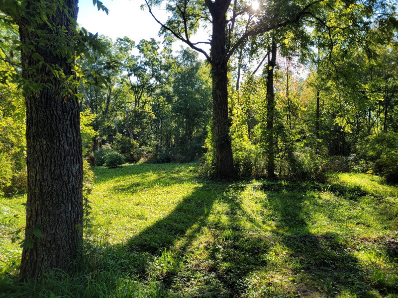 Vacant Recreational Land for Sale Norwich Ontario Land for Sale