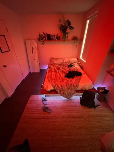 private suite and floor for rent