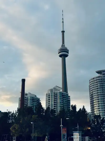 Looking for job, View more