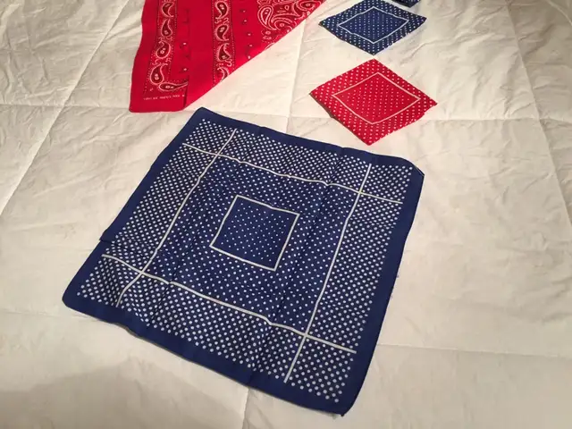 5 WILD RAGS (BANDANAS)63006660302081121