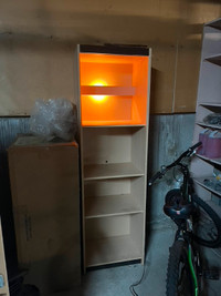 Shelving unit with light