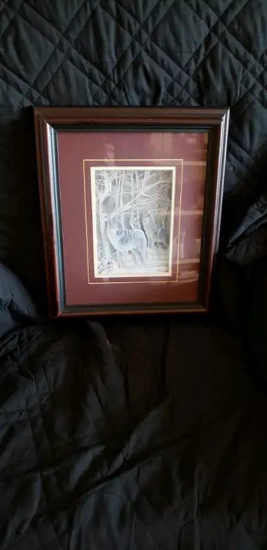 Frame 12.5x14.5 inch frame by JThompson beautiful winter day Wolves .$20
