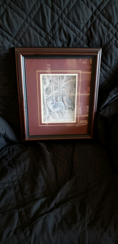   Wolves in Other in Kingston - Image 2