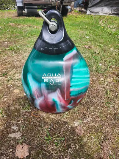 aqua punching bag, View more