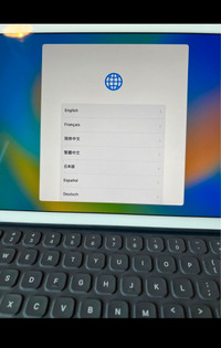 iPad pro + Apple keyboard 