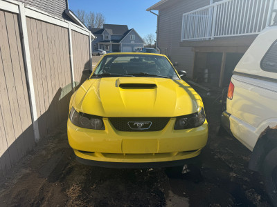 2003 Ford Mustang Convertible 