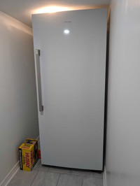 Upright Freezer 