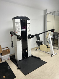 High Quality Exercise Equipment! CYBEX + LIFE-FITNESS