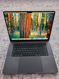 16 Inches MacBook Pro M3 Max 48 GB RAM 1 TB - Receipt
