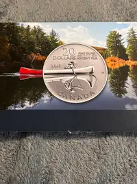 $20 silver coin