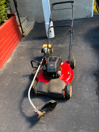 Lawnmower and weed trimmer