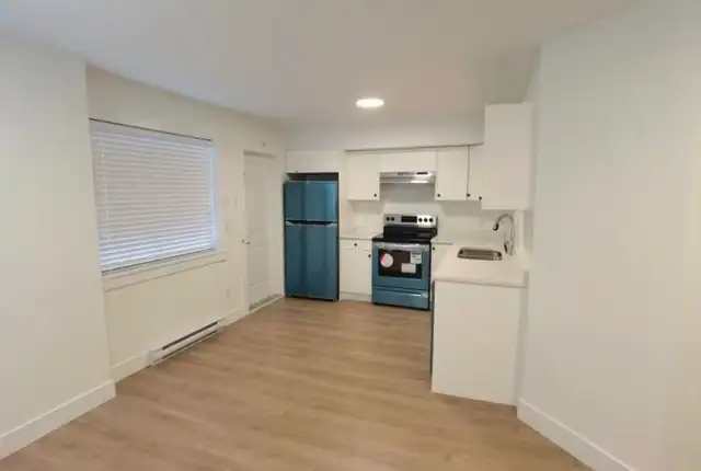 ✨ South Surrey Modern & Bright 750 sqft Basement Suite✨