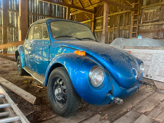 1974 VW Beetle Convertible Project – Solid, Complete, and Ready! in Classic Cars in Ottawa - Image 2