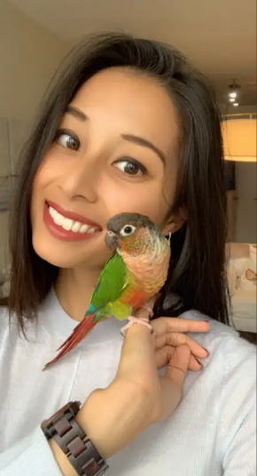 NAIL AND WING CLIPPING FOR YOUR BIRD! | TEXT 647 490 7156, View more