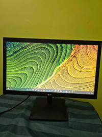 LG 20 Inch Desktop Monitor with HDMI