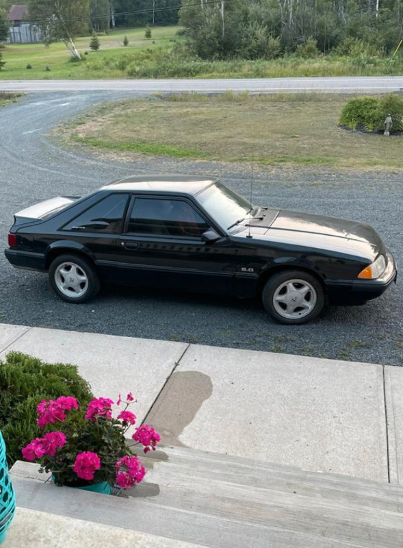 1988 Mustang 5.0