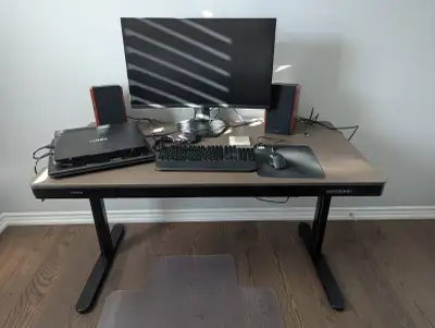 Flexispot Q8 COMHAR Pro Electric Standing Desk – Bamboo Top, View more