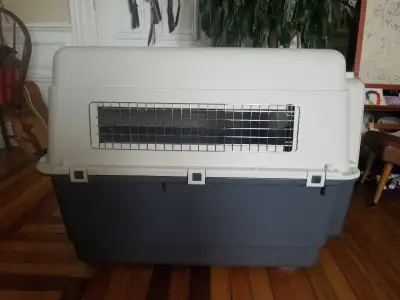 Dog Carrier Used Once For Westjet Flight, View more