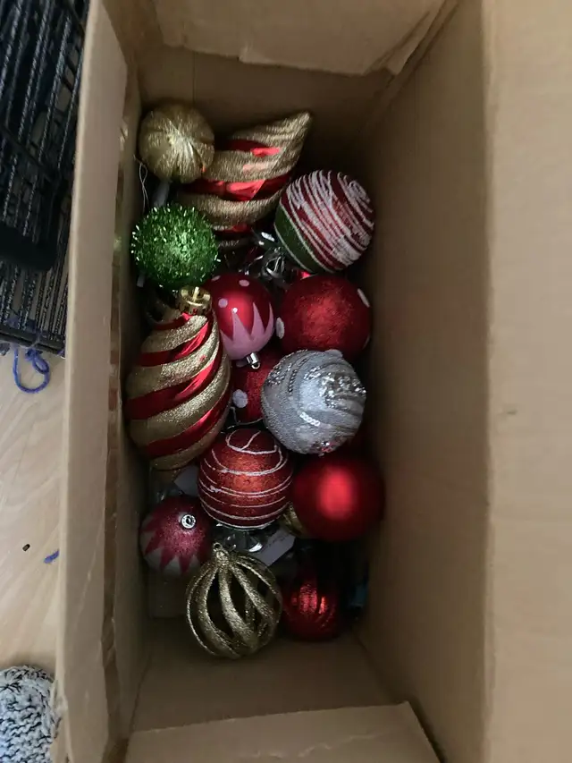 Christmas article64141888367362121