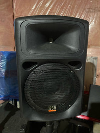 BSA Professional PA Speakers (PRICE IS NEGOTIABLE)