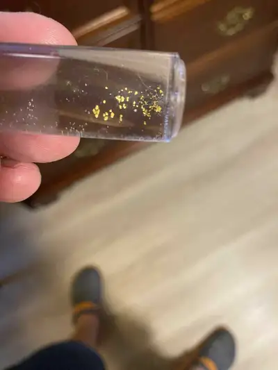 Fraser River Gold Claim, View more