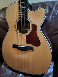 Seagull Maritime SWS Acoustic