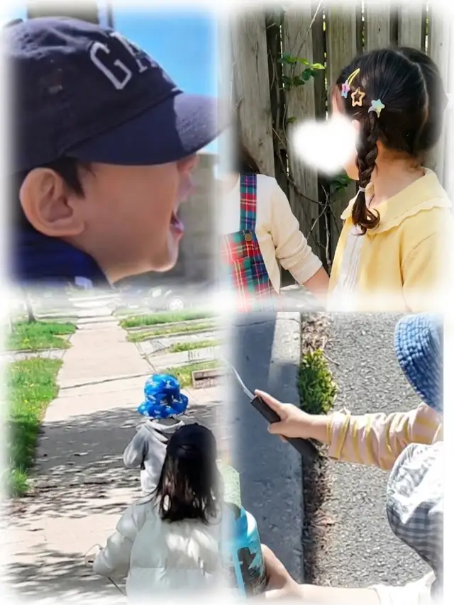 Tiny Maple 'SUMMER CAMP'460988009677465601